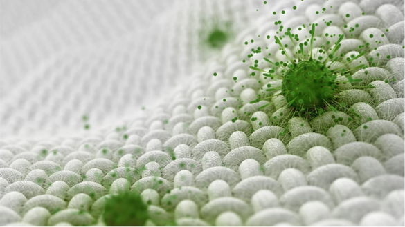 Chitosan Nanoparticles for Antibacterial 